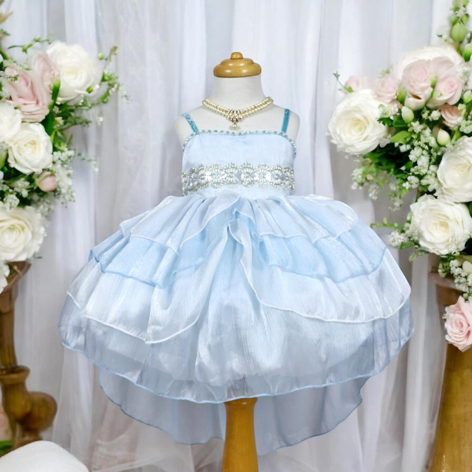Princess Dress